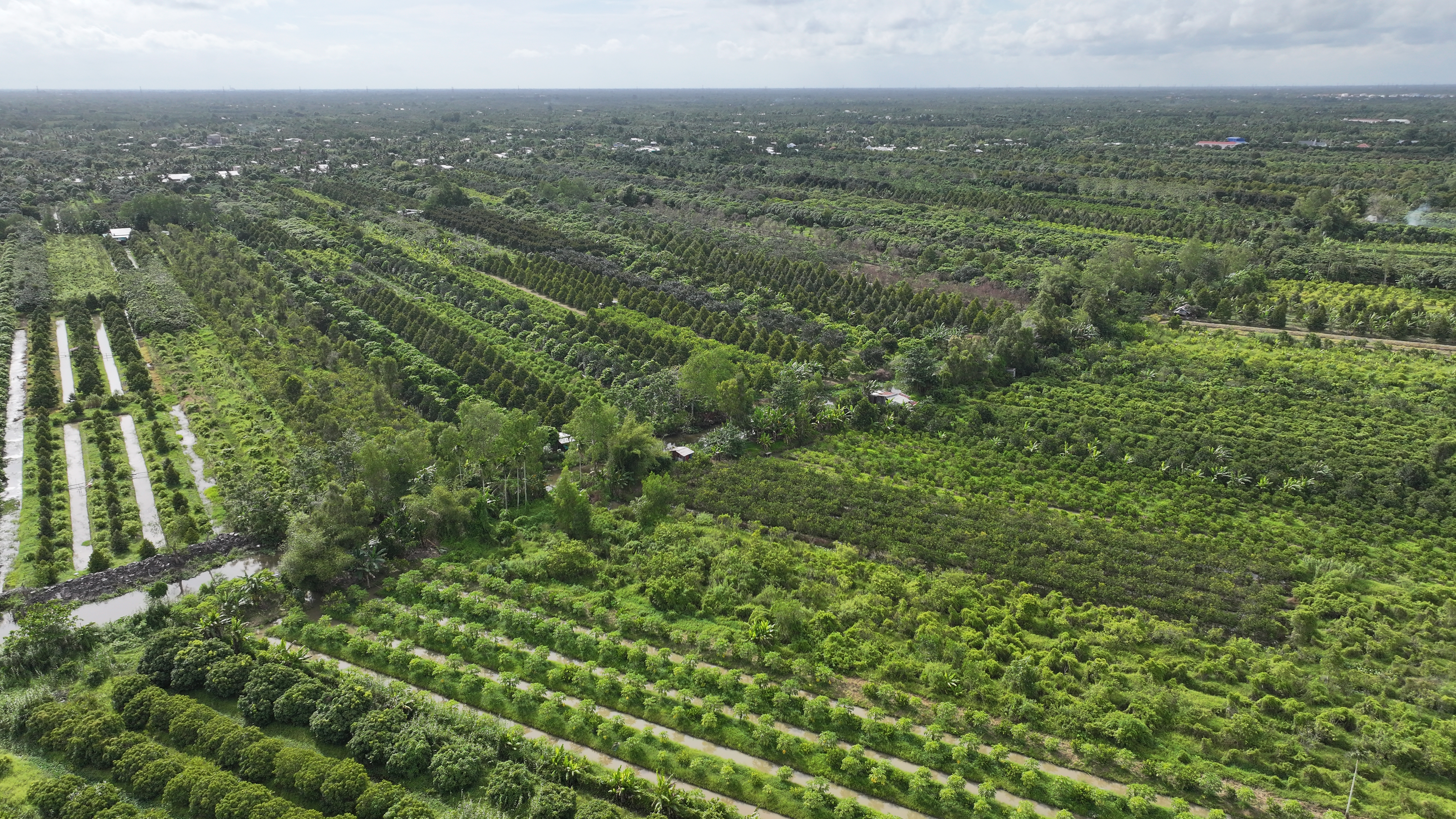 Phát triển bền vững