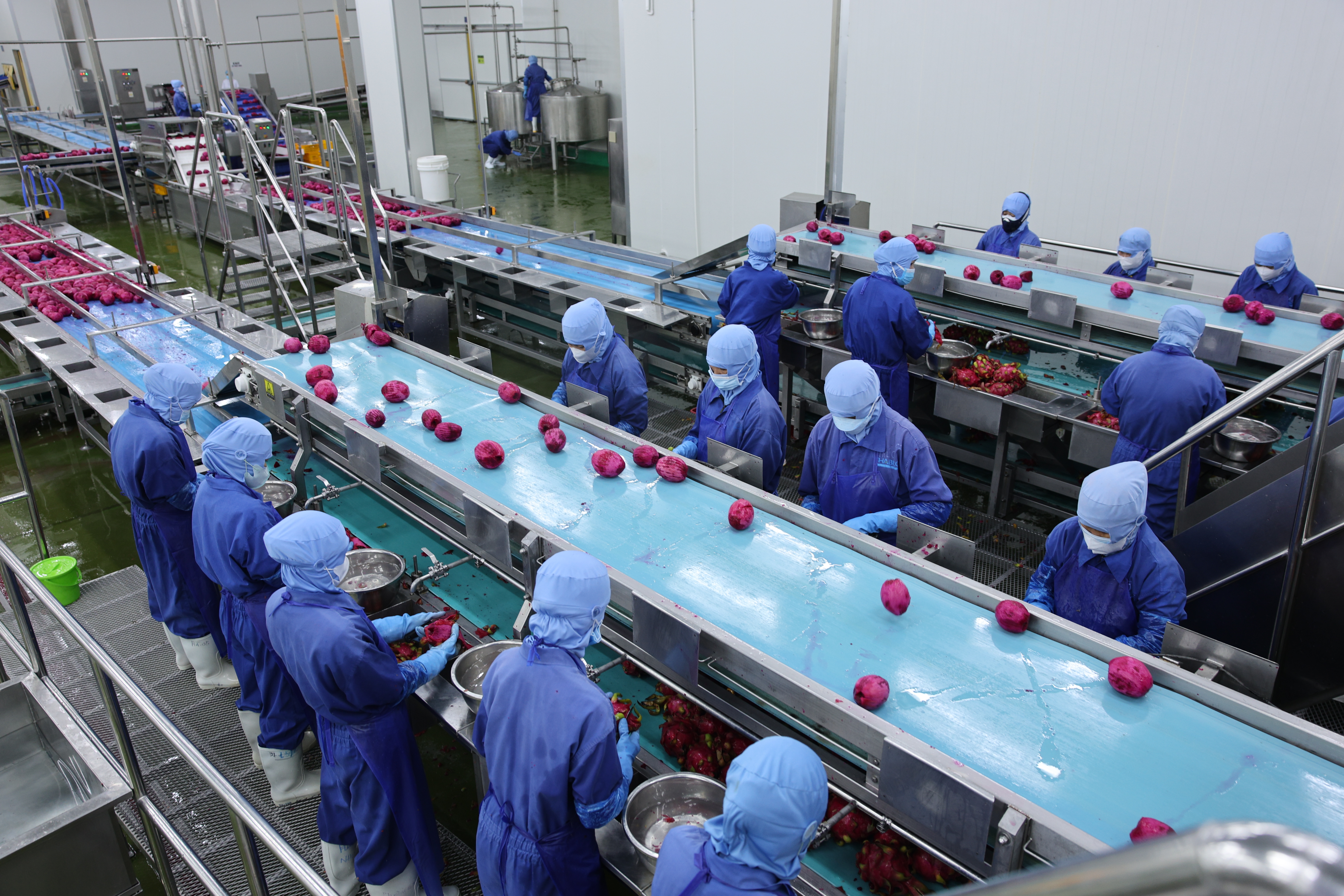 Nhà máy – Sản xuất