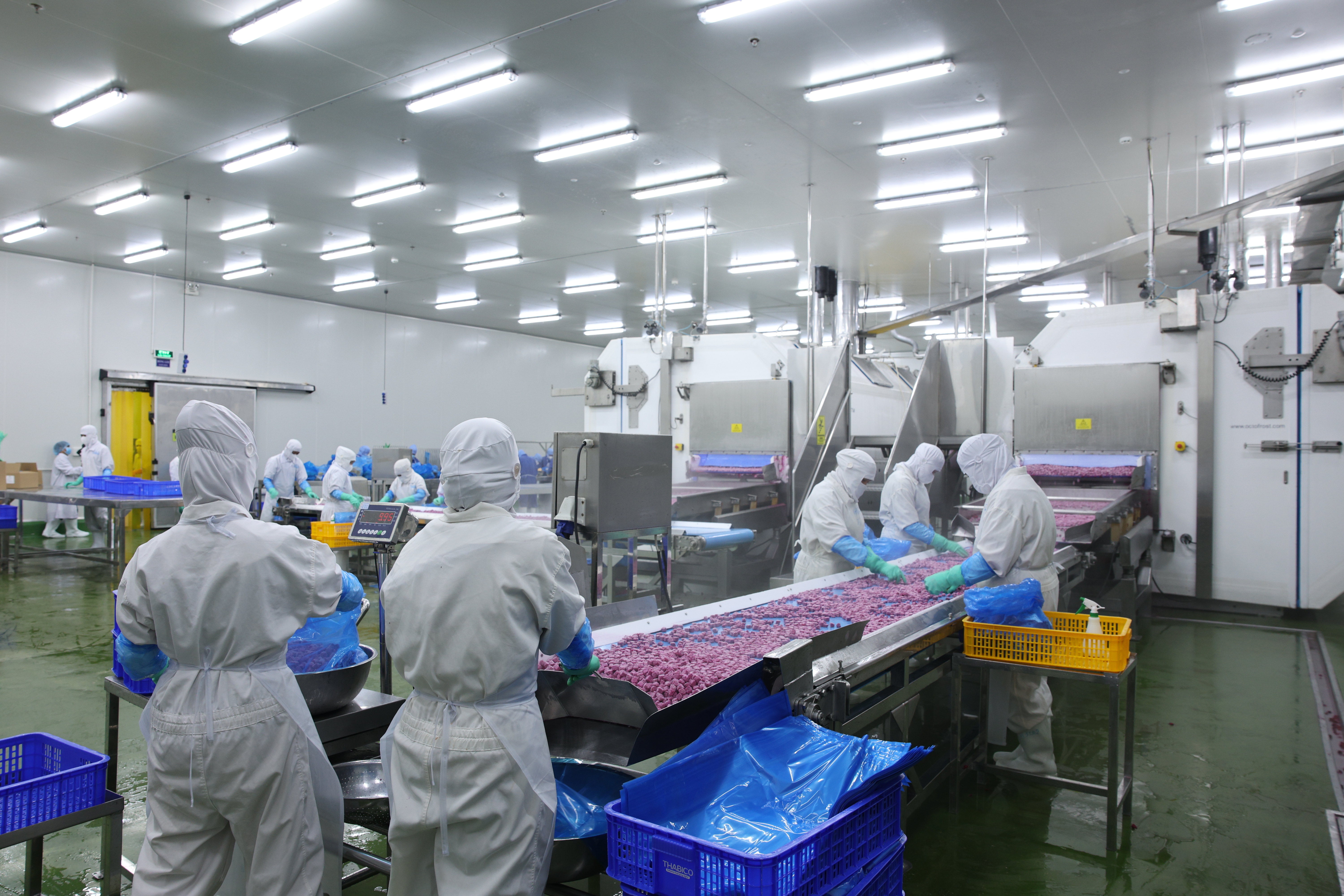 Dây chuyền sản xuất