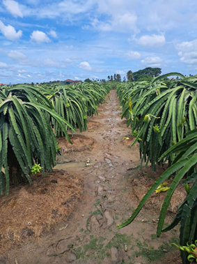 Xã Tân Lập, Tỉnh Lâm Đồng